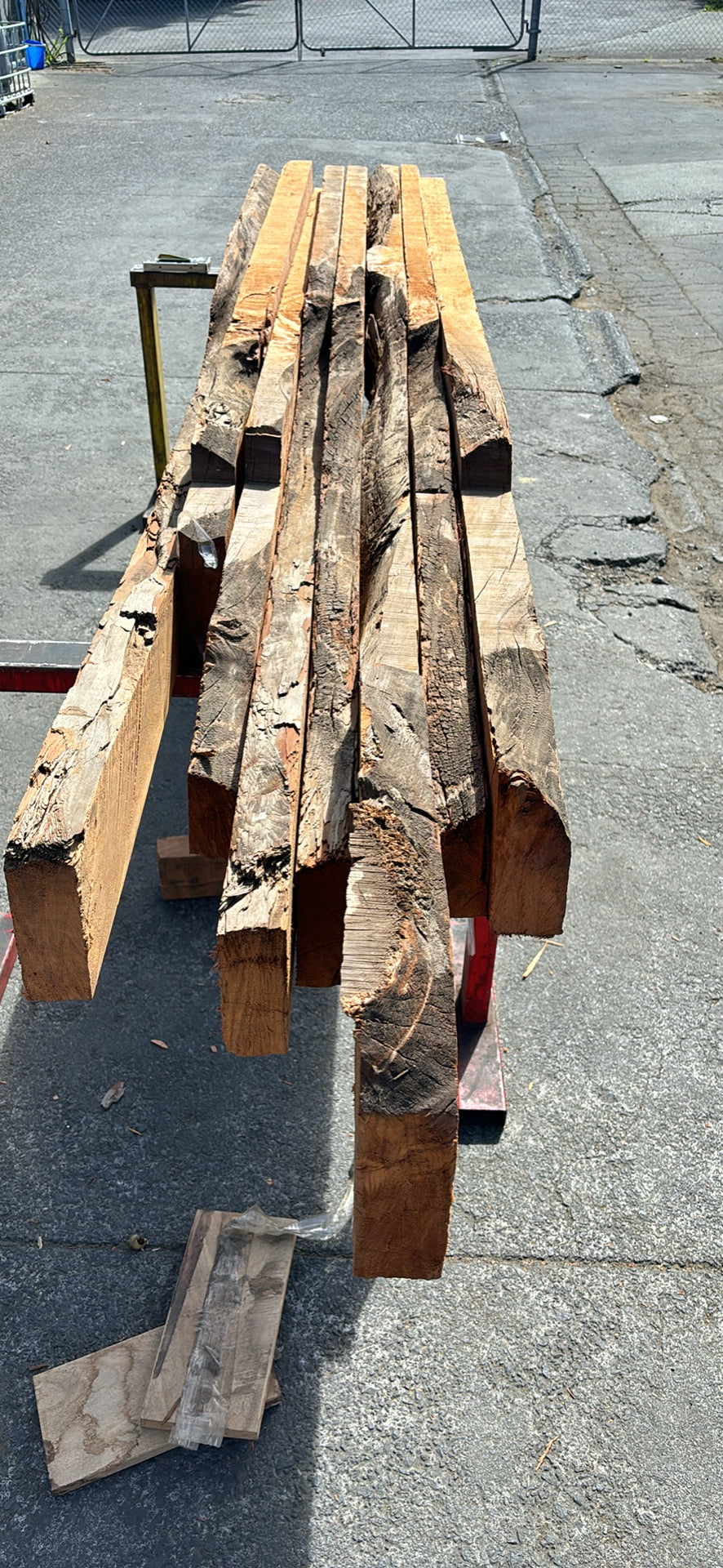 Swamp Kauri Live Edge Slabs