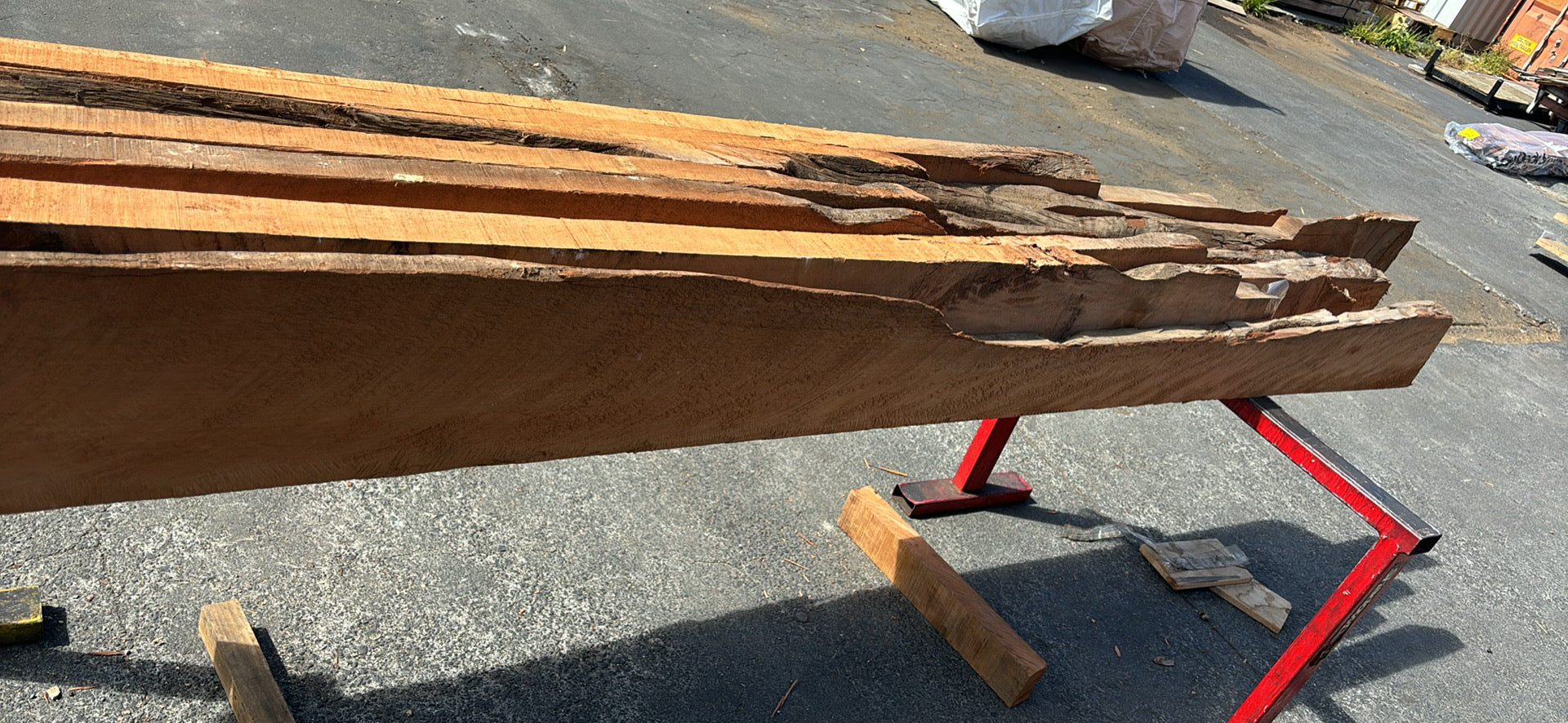Swamp Kauri Live Edge Slabs